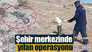 Karaman'da itfaiyeden yılan operasyonu kümeste yakaladılar