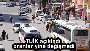 TUİK açıkladı Karaman'da yükseliş devam ediyor