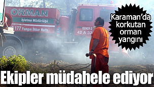 Karaman'da korkutan orman yangını