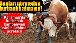 Karaman'da kurbanlık kampanyası üstelik kesimde ücretsiz