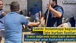 Karaman'da sektör hızlandı işte kurban fiyatları