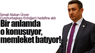 Ünver Erdoğan'a yüklendi "verdik yetkiyi gördük etkiyi"