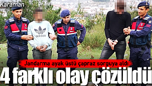 Jandarma ayak üstü çapraz sorguya aldı 4 olay aydınlandı