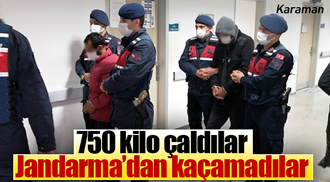 750 kilo çaldılar jandarmadan kaçamadılar