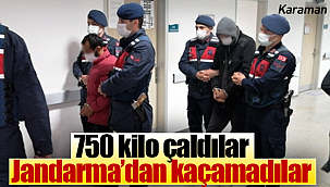 750 kilo çaldılar jandarmadan kaçamadılar