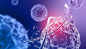 Medikal Estetiğin Sağladığı Avantajlardan Yararlanın