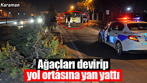 2 ağacı devirip yola yan yattı