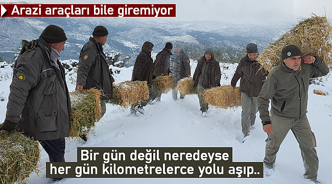 Bir gün değil neredeyse her gün arazideler