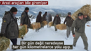 Bir gün değil neredeyse her gün arazideler