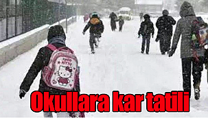 Karaman'da okullara kar tatili