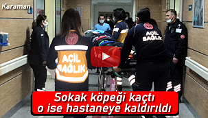 Sokak köpeği kaçtı o hastaneye kaldırıldı