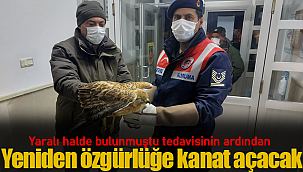 Tedavisinin ardından yeniden özgürlüğe kanat açacak