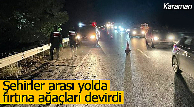 Fırtına şehirler arası yolda ağaçları devirdi