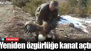 Günler sonra yeniden özgürlüğe kanat açtı