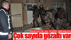 Karaman'da suç örgütüne operasyon