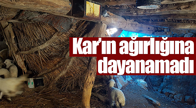 Karın ağırlığına dayanamadı