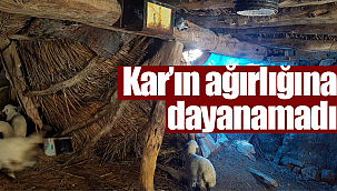Karın ağırlığına dayanamadı