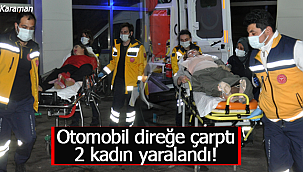 Otomobil direğe çarptı 2 kadın yaralandı