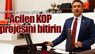 Ünver bölge çiftçisi için söz aldı