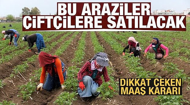 Hazine arazisi onu işleyen çiftçiye satılacak