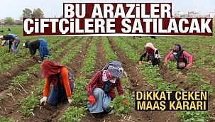 Hazine arazisi onu işleyen çiftçiye satılacak