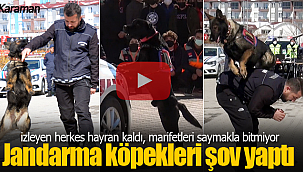Jandarmanın eğitimli köpekleri izleyicileri büyüledi