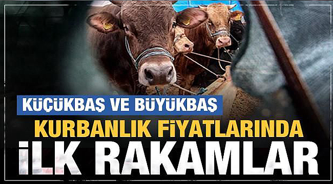 2022 kurban fiyatları ne kadar