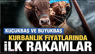 2022 kurban fiyatları ne kadar