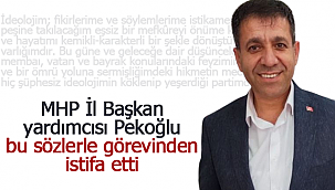 Pekoğlu MHP'deki görevinden istifa etti