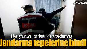 Uyuşturucu tarlasına jandarma engeli