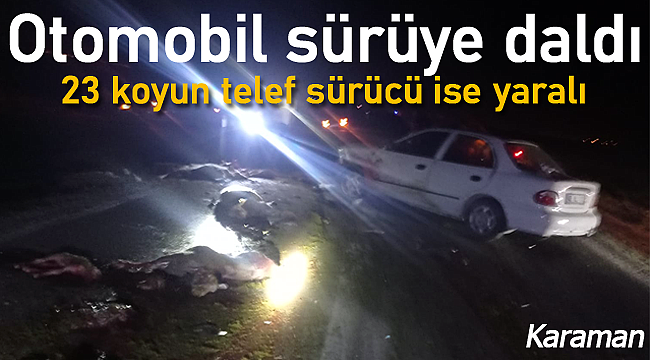 Otomobil sürüye daldı 23 koyun telef oldu