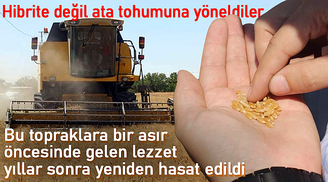 Ata tohumuna geri döndüler