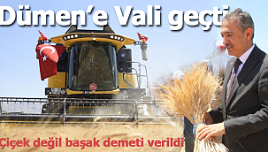 Hasat töreninde dümene vali geçti