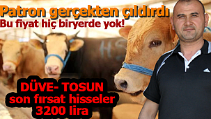 Patron çıldırdı şok kurban fiyatları