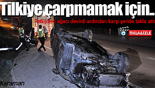 Tilkiye çarpmamak için manevra yaptı takla attı