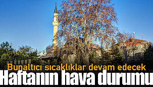 Bunaltıcı sıcaklar devam edecek