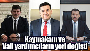 Kaymakam ve Vali yardımcılarının yeri değişti