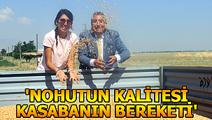Nohutun kalitesi kasabanın bereketi