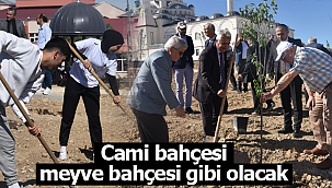 Cami bahçesi gibi değil meyve bahçesi gibi olacak