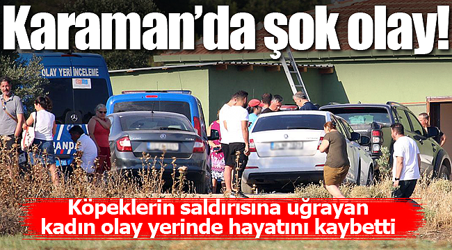 Köpeklerin saldırısına uğrayan Dudu Berk öldü