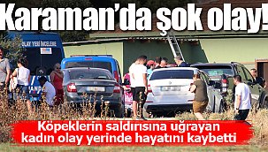 Köpeklerin saldırısına uğrayan Dudu Berk öldü
