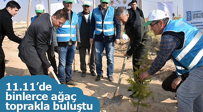 11.11'de binlerce ağaç toprakla buluştu