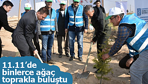 11.11'de binlerce ağaç toprakla buluştu