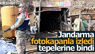 Jandarma fotokapanla izledi tepelerine bindi