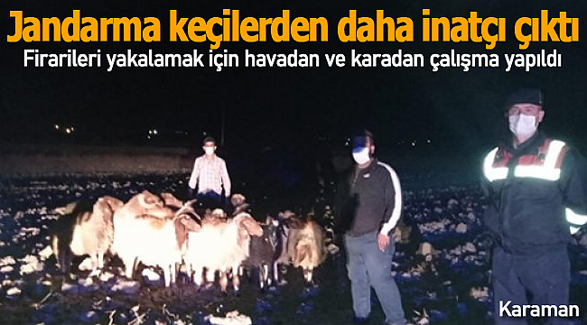 Jandarma havadan ve karadan iz sürdü