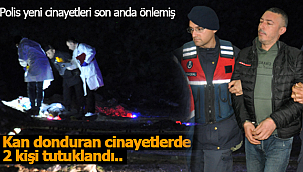 Karaman'daki seri cinayete 2 tutuklama