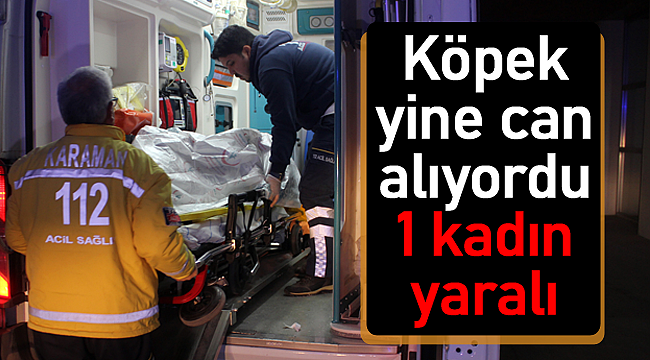 Köpek yine can alıyordu