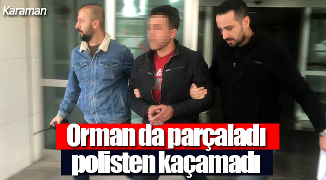 Önce çaldı sonra ormanda parçaladı