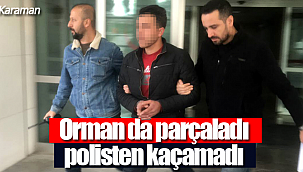 Önce çaldı sonra ormanda parçaladı