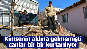 Karaman'dan nokta atışı